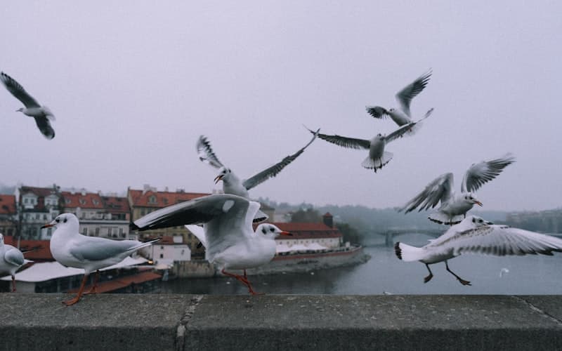 Prague, Czech Republic
